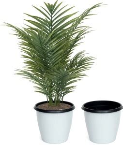 Livzing Livzing Self Watering Planter Pots , Virgin Plastic, Outer ...
