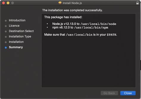 Step-By-Step Guide to Install Node.js on Windows & macOS