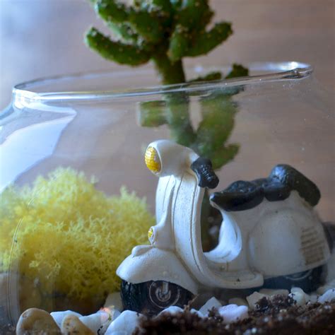 Buy Terrarium Kits Online - Create Your Mini Garden | MyBageecha