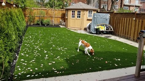 8 Common Myths About Artificial Grass Debunked | SYNLawn