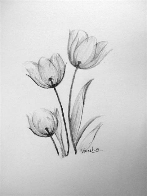 Easy flower shading pencil shading techniques - Artofit
