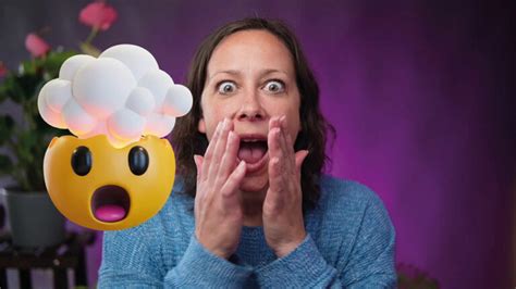 Image result for OBS Anima Layout