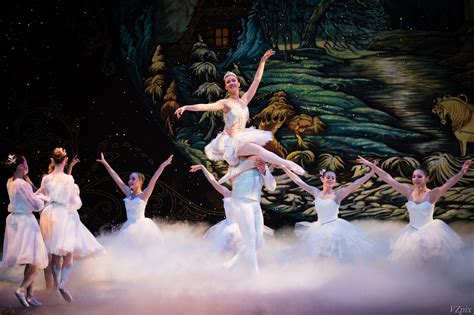 Synopsis of The Nutcracker — Southern California Ballet