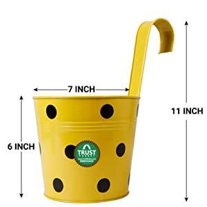 TrustBasket Single Pot Railing Plant with Polka Dots (Pack of 1 ...