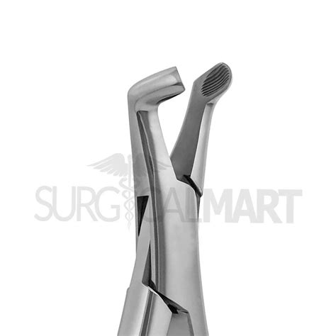 Dental Extracting Forceps #222 Lower 3rd Molars | Surgical Mart in 2024