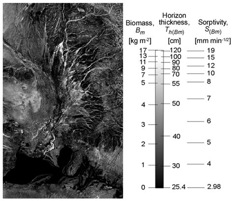 Predicting Soil Infiltration and Horizon Thickness for a Large-Scale ...