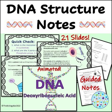 Image result for DNA Simulation Worksheet