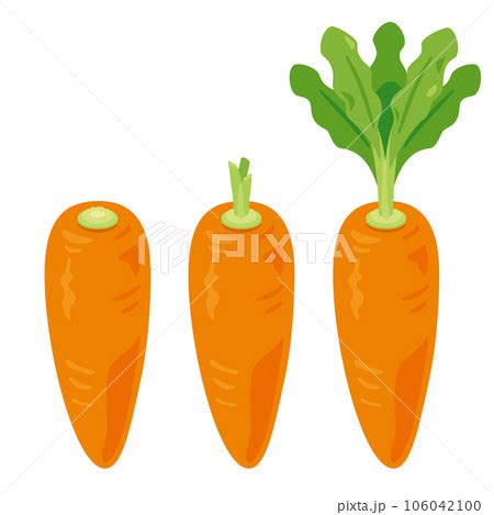 Image result for Relay Color Code