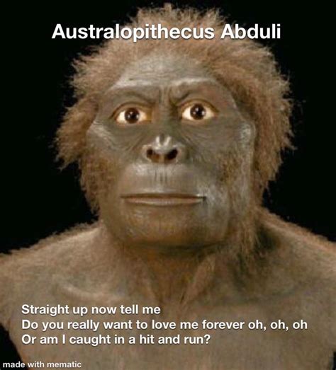 Image result for Australopithecus Meme