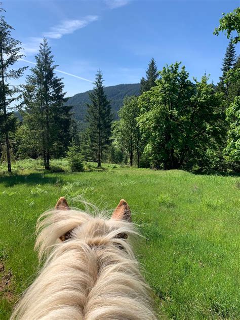 4 Hour Guided Trail Ride, 23400 NW Flying M Rd, Yamhill, OR, 28 June ...