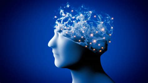 Brain Fog and Metabolism: How Blood Sugar & Nutrients – MyDiagnostics