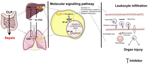 IJMS | September-1 2023 - Browse Articles