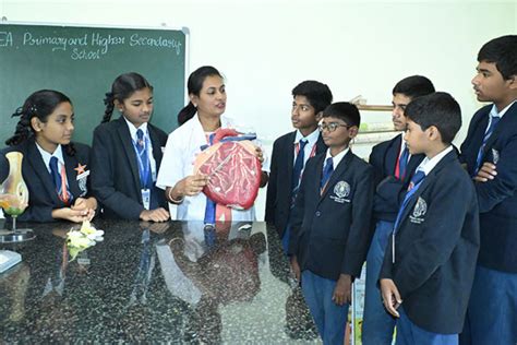 SEA Primary & High School