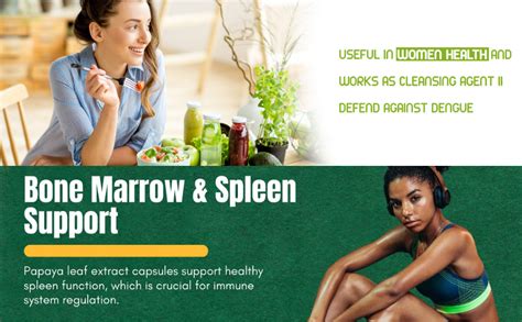 Herbal Hills Carica Papaya tablets - Immunity booster 500mg, carica ...