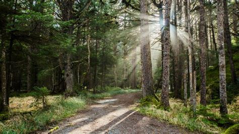 The 21 Most Beautiful Places In Canada