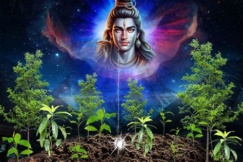 Rudraksha: Benefits, Types & Spiritual Significance | Complete Guide