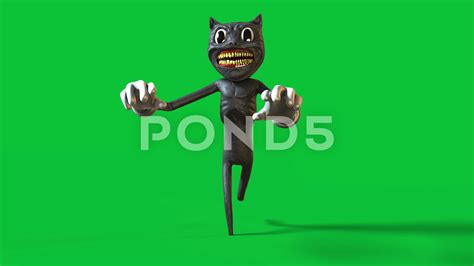 Image result for Scared Running Scratch Cat