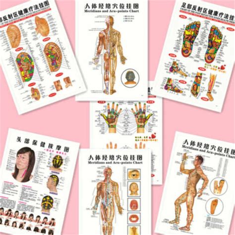 Buy 7PcsSet English Acupuncture Meridian Acupressure Points Posters ...