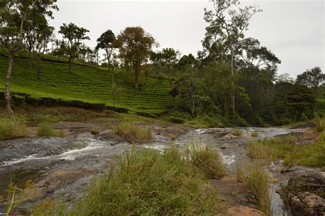 Image result for Assam Language