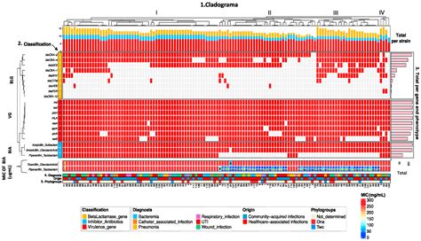 Genetic Analysis of Virulence and β-Lactamase Determinants Related to β ...