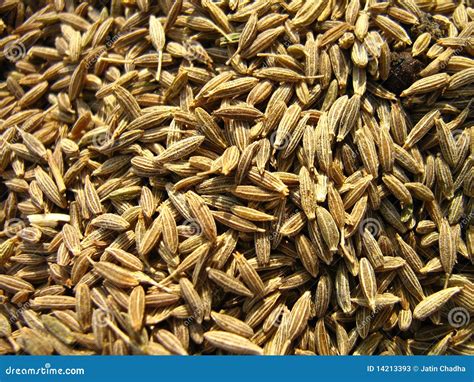 Largest Producer Of Cumin In India at Sarah Lee blog