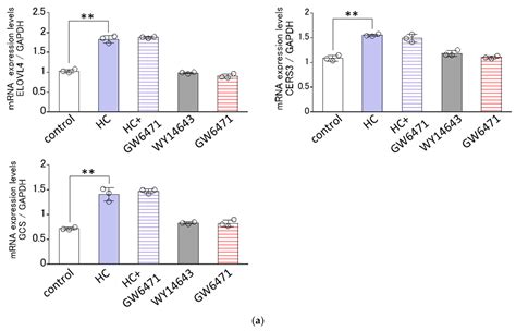 Horse-Derived Ceramide Accentuates Glucosylceramide Synthase and ...