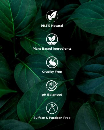 Buy Moe Puppy Natural Paw Balm for Dogs & Cats | Lick Safe Paw Balm for ...