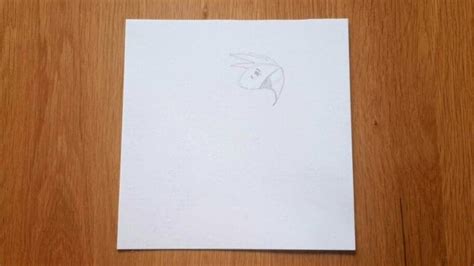 Image result for Parrot Picture Simple Tips