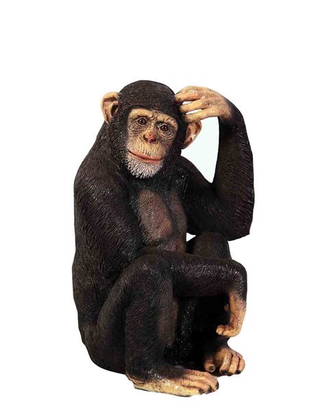 Life Size Fibreglass Resin Chimpanzee Model - Hamac Trading | Formerly Hamac Displays