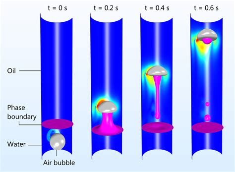 Multiphysics Simulation of Flow and Transport Processes in Water ...