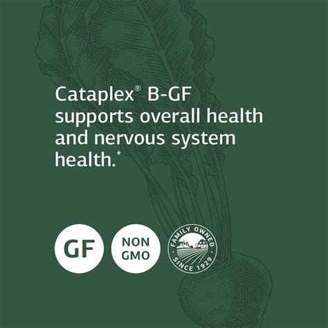 Standard Process Cataplex B GF - 360 Tablets for Metabolic, Cardiovascular & Nervous System ...