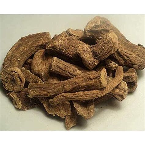 Bestdeal Organic Roots Saussurea lappa Kushta Indian Costus India | Ubuy