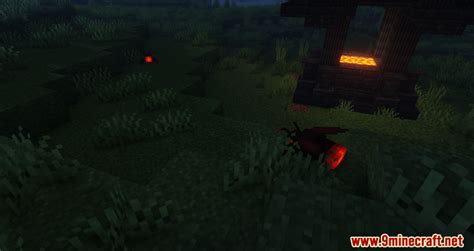 Image result for Minecraft Chaos Mod