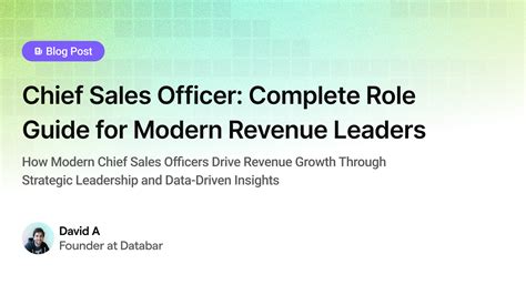 Databar Blog | Chief Sales Officer: Complete Role and Responsibility Guide