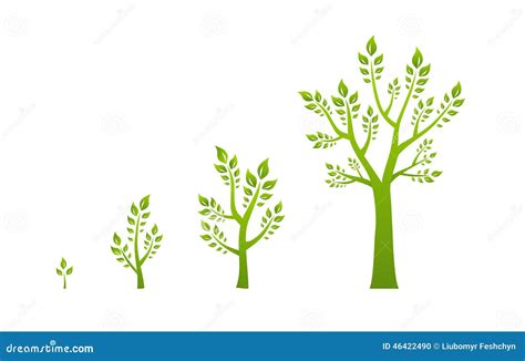 Tree Growth 的图像结果