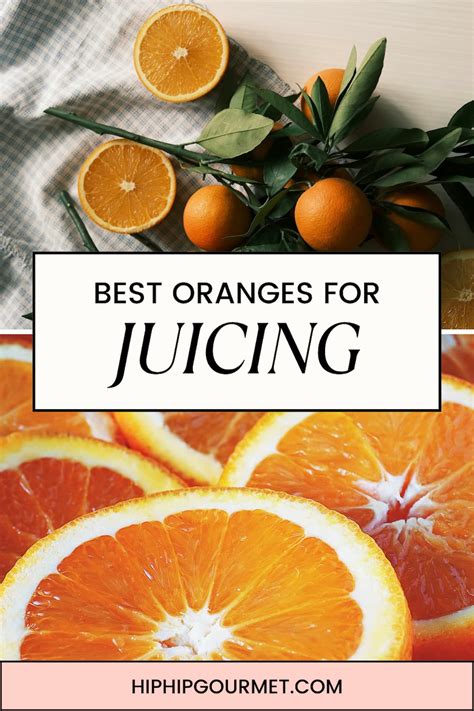 Best Oranges for Juicing – A Quick Guide - Hip Hip Gourmet