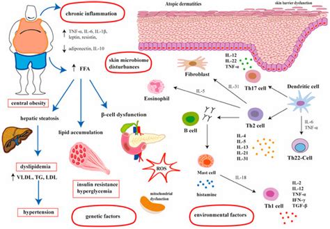 Is Atopic Dermatitis Associated with Systemic Metabolic Disturbances? A ...