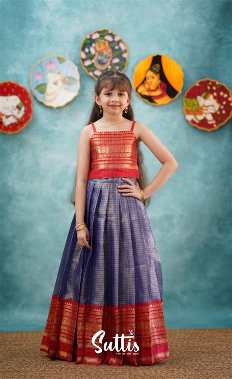Izhaiyini-Navy Blue and Red Organza Top and Skirt – Ivalinmabia