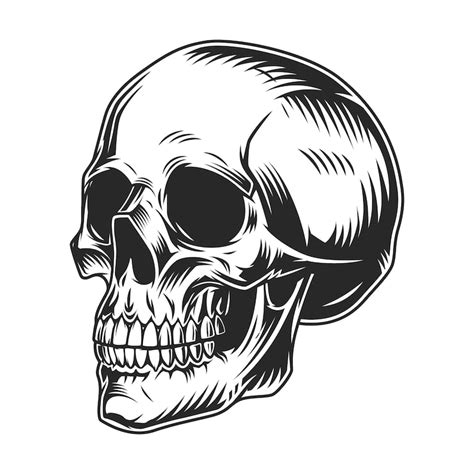 Skeleton face Vectors - Download Free High-Quality Vectors from Freepik ...