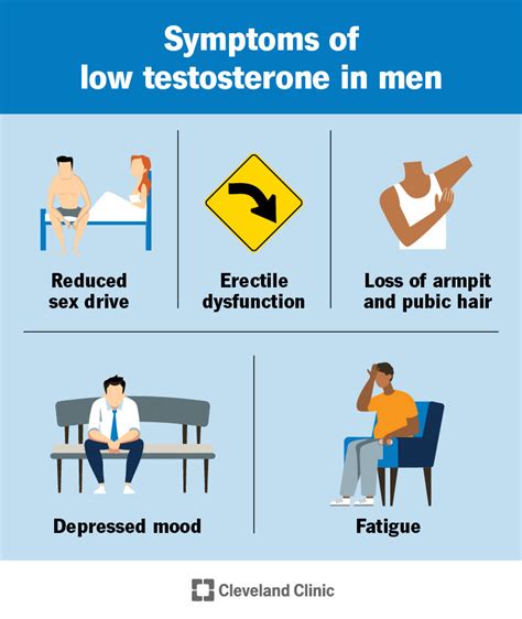 High Testosterone Levels Sign 的图像结果