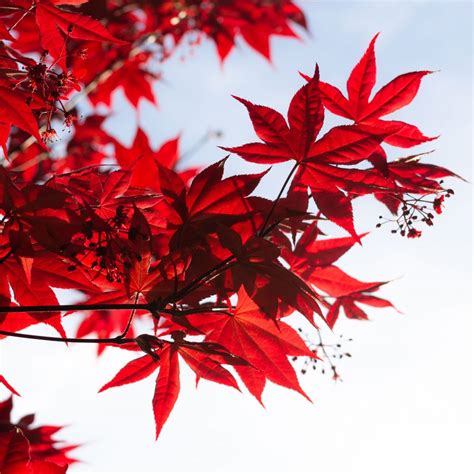 Hazel Parker Playground - Charleston Parks Conservancy