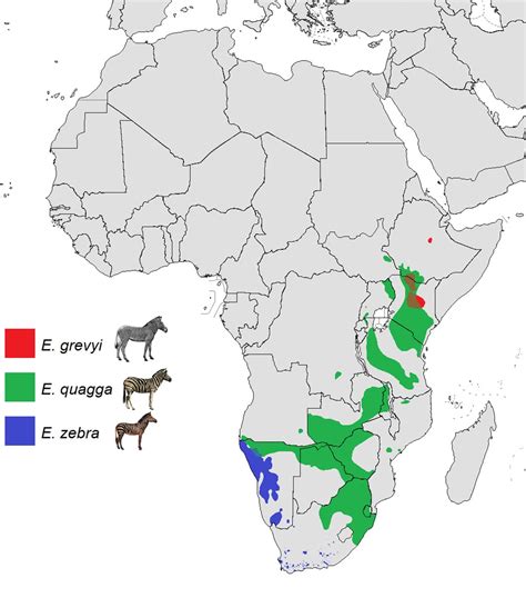 Where Do Zebras Live? Mapping The Geographical Distribution Of Zebras