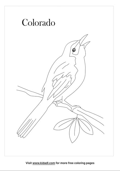 Coloring State Bird Alabama Pages Flower Symbols Birds Printable Color ...
