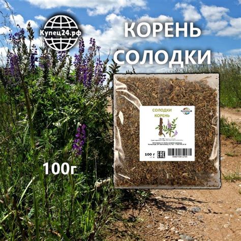 Корень солодки 100г - купить с доставкой по выгодным ценам в интернет ...