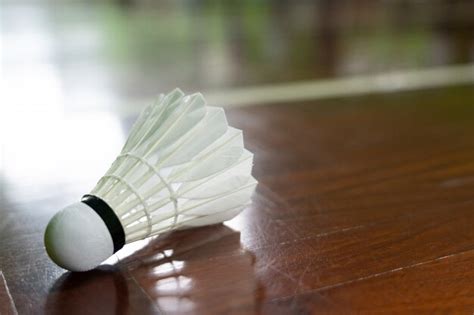 Badminton Net Shuttle Cock 的图像结果