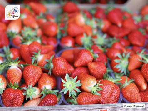 Image result for Spring and Spring Boot Fruits Example