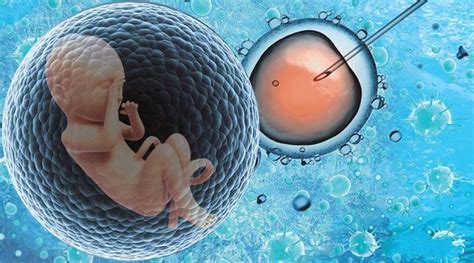 做试管婴儿(IVF)的全部流程！越熟悉越从容！ - 知乎