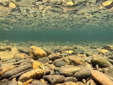 South Toe River, Yancey County, N.C. | FWS.gov