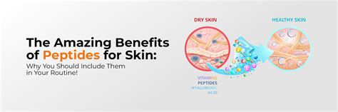 The Amazing Benefits of Peptides for Skin: Why You Should Include Them ...