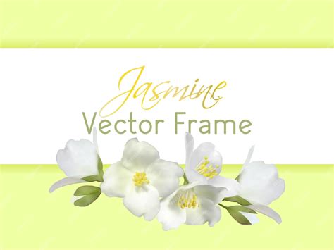 Image result for Java Display Choices